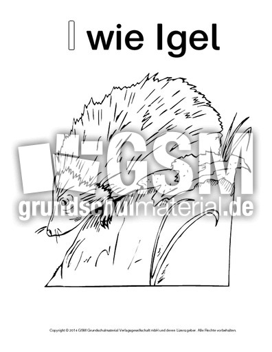 I-wie-Igel-4.pdf